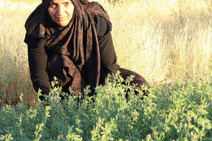 برای نمونه، یک زن تربت‌جامی را که در روستای خود پارچه و فرش می‌بافد در نظر بگیرید. این فرد شاید هیچ‌وقت فرصت اجاره یک مغازه در شمال شهر تهران را نداشته باشد، اما به لطف بازاریابی دیجیتال، بزرگ‌ترین ویترین‌ها در اختیار او قرار گرفته است تا بتواند هنرش را به جامعه بسیار بزرگی نشان دهد.