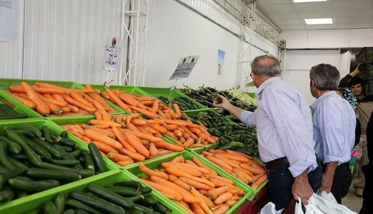 رئیس اتحادیه میوه و تره بار مشهد گفت: افزایش تقاضا برای هویج تحت تاثیر اوج گیری دوباره کرونا قیمت این محصول را اکنون در بازار دوبرابر کرده است.