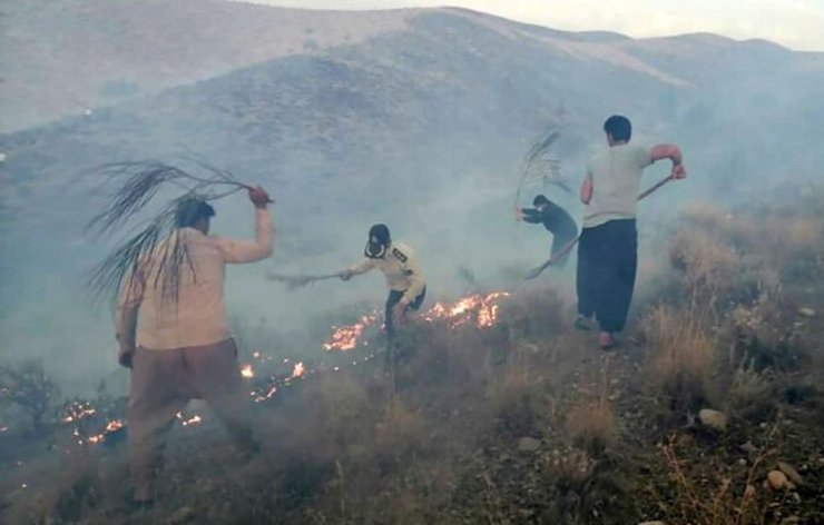 آتشی که عصر دوشنبه ۱۱ مرداد در نقاطی از تنگ هایقر واقع در شهرستان فیروزآباد حادث شده بود، علیرغم تلاش برای مهار، همچنان در حال پیشروی است.