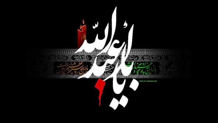 طلوع هلال ماه محرم یادآور اندوه و حزن اهل بیت علیه‌السلام و دوست‌داران ایشان است. در این ماه خصوصا در ده روز نخست این ماه هر شیعه و انسان آزاده‌ای بر خود وظیفه می‌داند تا حزن و اندوه خود را در عزای فرزند رسول الله صلی الله علیه و آله و سلم با برپایی مجالس عزا، کمک مادی و معنوی به این مجالس و شرکت در دسته‌جات عزادارای و سینه‌زنی سید و سرور شهیدان نشان دهد.
