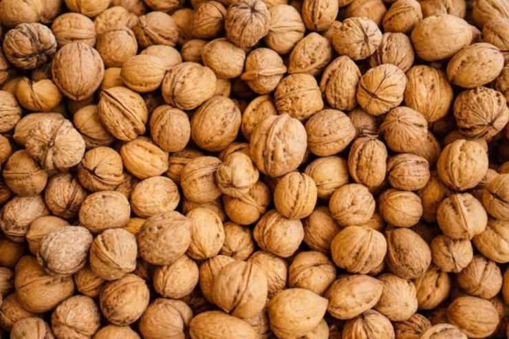 دبیر اتحادیه بنکداران مواد غذایی گفت: واردات گردو ممنوع است اما گردوهای خارجی کاملاً منسجم به صورت قاچاق وارد کشور می‌شوند.