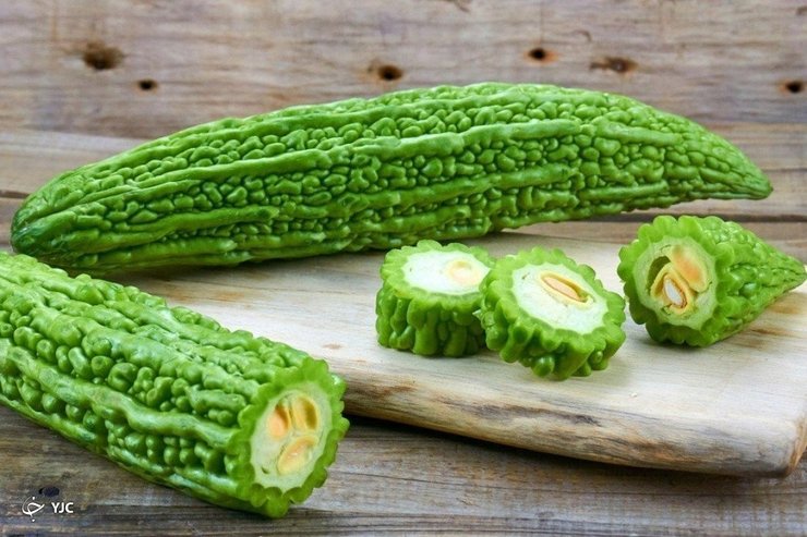 خربزه تلخ با کاهش قند خون ارتباط دارد. این مسأله هم به دلیل آن است که خربزه تلخ دارای خواصی است که مانند انسولین عمل می‌کند و کمک کرده تا گلوکز برای انرژی به سلول‌ها منتقل شود.
