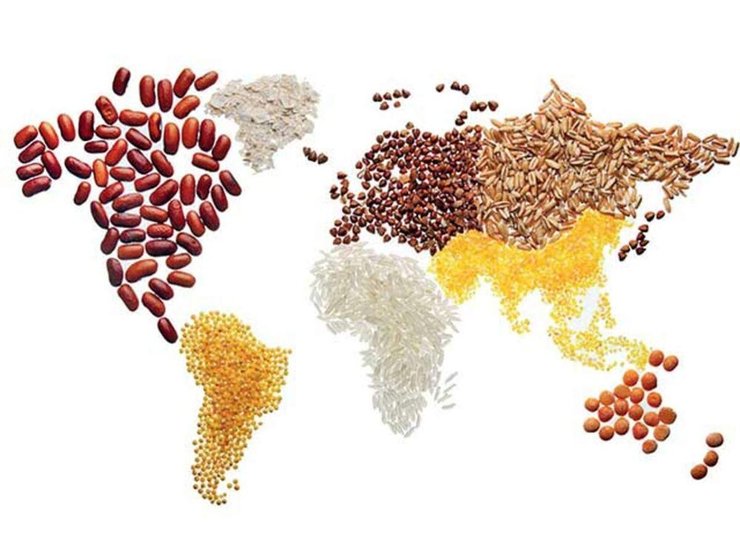 برنامه جهانی غذا سازمان ملل متحد (WFP) اعلام کرد که از کمک مالی ۲میلیون یورویی آلمان در حمایت از برنامه بلندمدت کمک به پناهندگان آسیب‌پذیر افغانستانی و عراقی در جمهوری اسلامی ایران استقبال می‌کند.