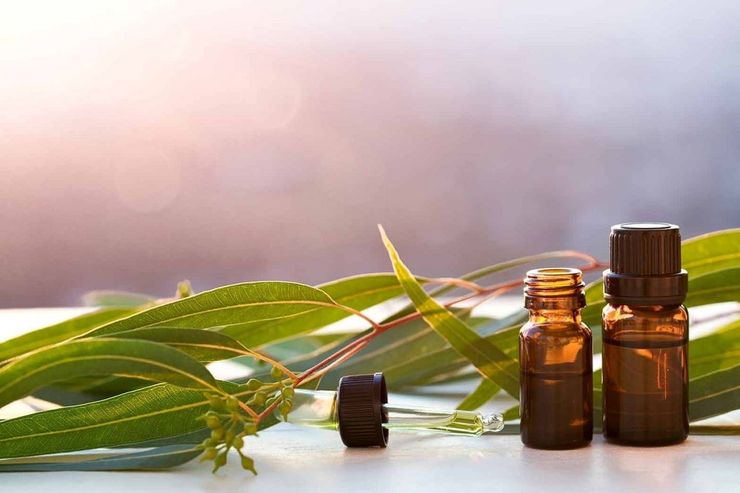 روغن اکالیپتوس از برگ تازه درخت همیشه‌سبز اکالیپتوس گرفته می‌شود که روغنی بی‌رنگ و بو و دارای مزه تندی است. این روغن در کنار خواص درمانی و پزشکی، استفاده‌های کاربردی و صنعتی نیز دارد.