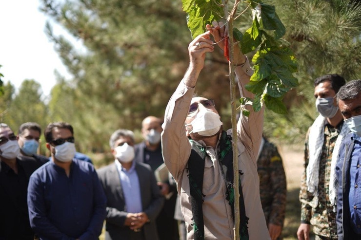 مراسم نامگذاری و کاشت درخت در محل باغ خاطره واقع در ضلع جنوبی بوستان بهار، با حضور جمعی از اعضای شورای اسلامی شهر مشهد، معاون خدمات شهری، مدیرعامل سازمان پارک‌ها و فضای سبز، شهردار منطقه۳ و بسیجیان شهرداری و شورای اسلامی شهر مشهد، به مناسبت هفته دفاع مقدس و گرامیداشت نام و یاد خاطره شهدا برگزار شد.