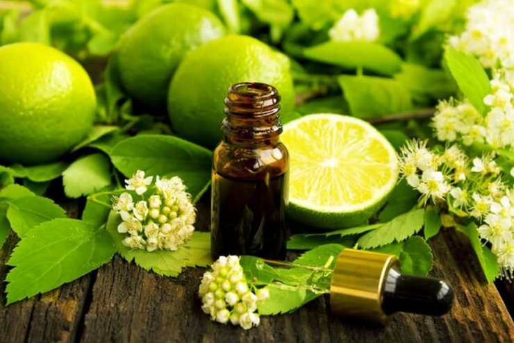 مرکبات و گیاهان معطر در صنعت عطرسازی بسیار کاربرد دارند. هریک از این رایحه‌ها حس و حال متفاوتی به ما می‌دهند که ما را شاداب می‌کنند.