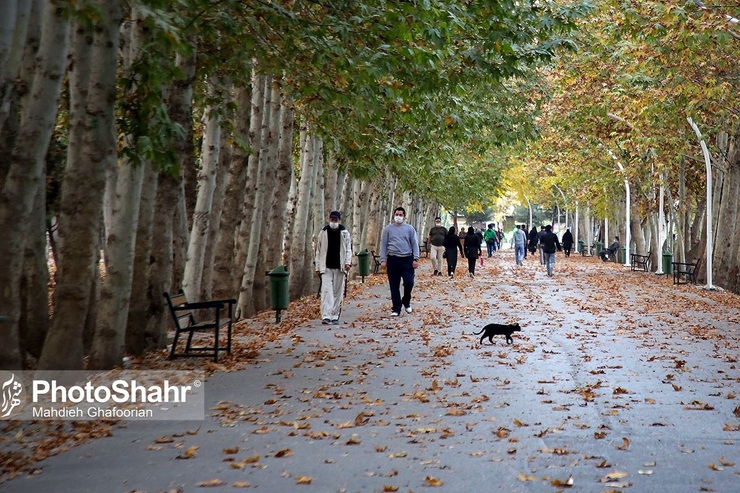 تغییرات فصل‌ها تغییرات قابل توجهی بر خلق و خوی انسان‌ها دارد به طوریکه میزان تنش و افسردگی در فصل‌های پاییز و زمستان بیشتر دیده می‌شود.