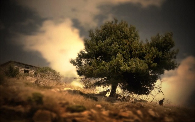 شهروند خبرنگار | ارتفاعات روستای کاهو