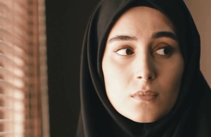 در روز‌هایی که افغانستان حوادث عجیب‌ غریب و ناراحت‌کننده‌ای را از سر می‌گذراند، سریالی از تلویزیون پخش می‌شود که به رابطه مردم ایران با مهاجران افغانستانی پرداخته است، رابطه‌ای که در چهار دهه گذشته شکل گرفته است.