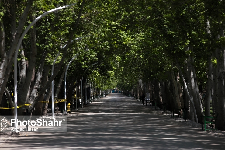 بر اساس آخرین رنگ‌بندی منتشر شده از شهر‌های کشور از شنبه ۱۰ مهر ماه، ۱۶ شهرستان در وضعیت قرمز، ۱۹۸ شهرستان در وضعیت نارنجی و ۱۷۶ شهرستان در وضعیت زرد و ۵۸ شهرستان در وضعیت آبی قرار خواهند گرفت.