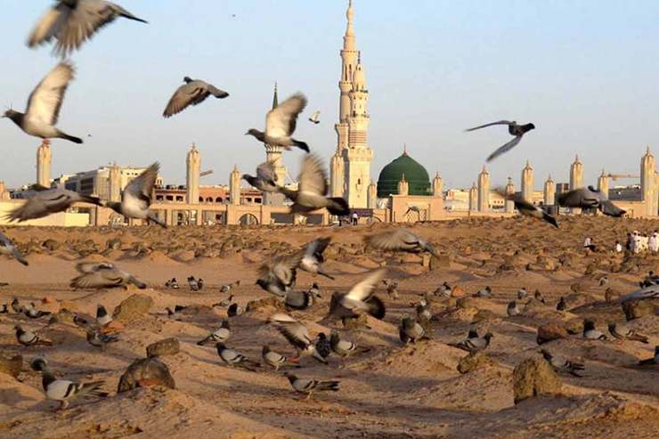 عصر امام صادق (ع) از نظر گفتمان اجتماعی خاص شیعه منحصر به فرد بوده و شرایط اجتماعی و فرهنگی عصر آن حضرت در زمان هیچ یک از امامان وجود نداشته است؛ زیرا آن دوره از نظر سیاسی، دوره ضعف و تزلزل حکومت بنی امیه و فزونی قدرت بنی عباس بود و این دو گروه مدتی در کشمکش و مبارزه با یکدیگر بودند.