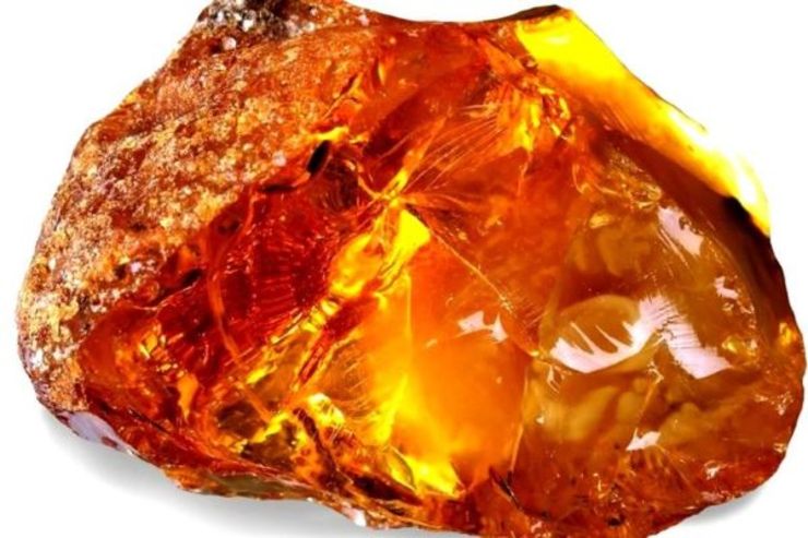 عنبر یا Ambergris (گران‌ترین استفراغ دنیا) یکی از ارزشمندترین و گران‌ترین مواد اولیه در صنعت عطرسازی است که خواص آن در درمان بیماری‌های بسیاری حائز اهمیت است.