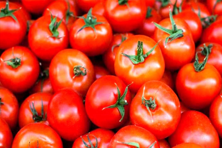 رییس اتحادیه میوه و سبزی تهران گفت: طی ۱۵ تا ۲۰ روز آینده با عرضه انبوه گوجه فرنگی از نوار گرمسیر جنوب بازار به تعادل می رسد.