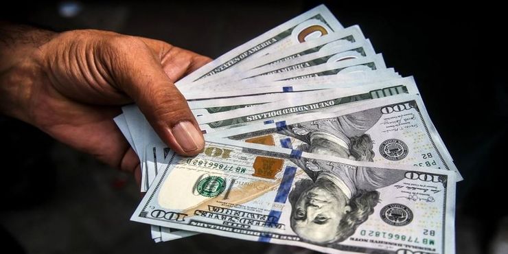استمرار یا حذف ارز ۴۲۰۰ تومانی با واکنش‌های متفاوتی از سوی کارشناسان و فعالان اقتصادی همراه بوده است؛ یک عضو اتاق بازرگانی معتقد است، چون کالا‌های محدودی مشمول این ارز هستند، حذف آن تاثیر زیادی بر بهای اقلام بازار ندارد.