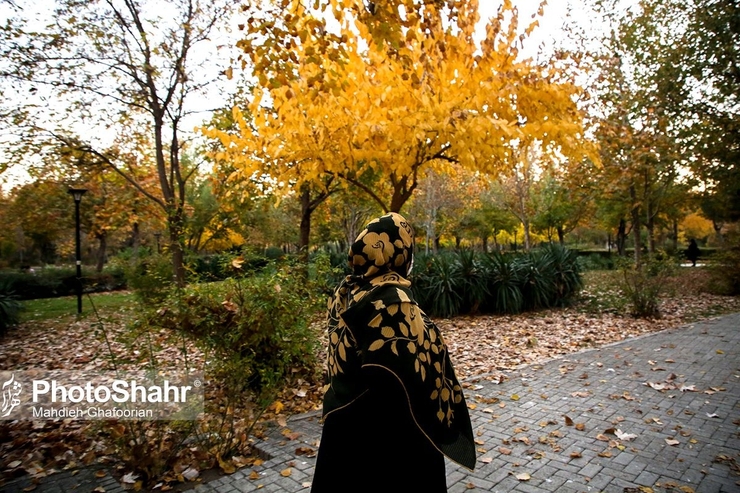 زنان خانه‌دار به واسطه نبود حمایت‌های قانونی کارآمد مانند داشتن حقوق ماهیانه مشخص، از هراس‌های اجتماعی نظیر طردشدگی، نبود امکان تأمین اقتصادی و در مخاطره بودن تأمین معیشت ضمن حفظ حرمت اجتماعی رنج می‌برند.