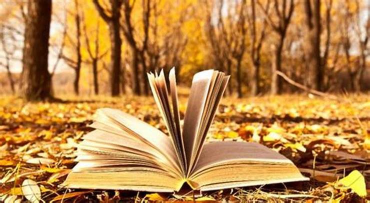ثبت‌نام کتابفروشی‌ها برای شرکت در طرح پاییزه کتاب ۱۴۰۰ از پنج‌شنبه (بیستم آبان ۱۴۰۰) در مشهد و سراسر کشور آغاز می‌شود.