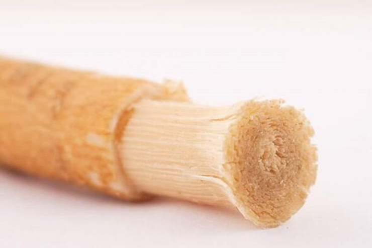 بسیاری از افراد از چوب مسواک به جای مسواک‌های معمول استفاده می‌کنند و معتقدند این مسواک‌ها عملکرد بهتری دارند، در عین حال برخی نیز همچنان استفاده از فلوراید و مسواک معمولی را بهترین روش برای نظافت دهان و دندان می دانند.
