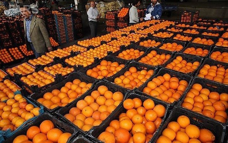 قائم مقام سازمان تعاون روستایی از توزیع اینترنتی میوه شب عید خبر داد.