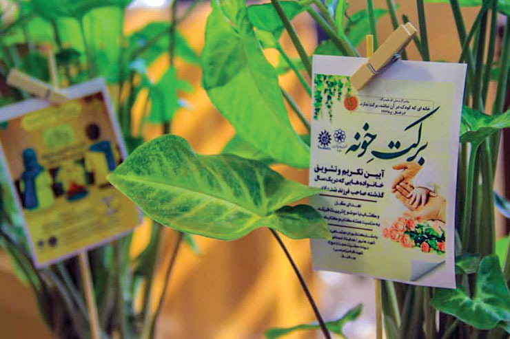 فرزند کمتر مساوی با زندگی بهتر نیست. انگار باید چند دهه طول می‌کشید تا خانه‌های خالی از حضور بچه‌ها را ببینیم، آسیب‌های تک فرزندی را لمس کنیم، پیش بینی‌ها از پیری کشور و هزینه‌های سرسام آورش را بشنویم تا سرانجام باورمان شود شعاری که دهه‌های پیش یک صدا از تریبون‌های رسمی کشور پخش می‌شد، به نفعمان نبوده است.