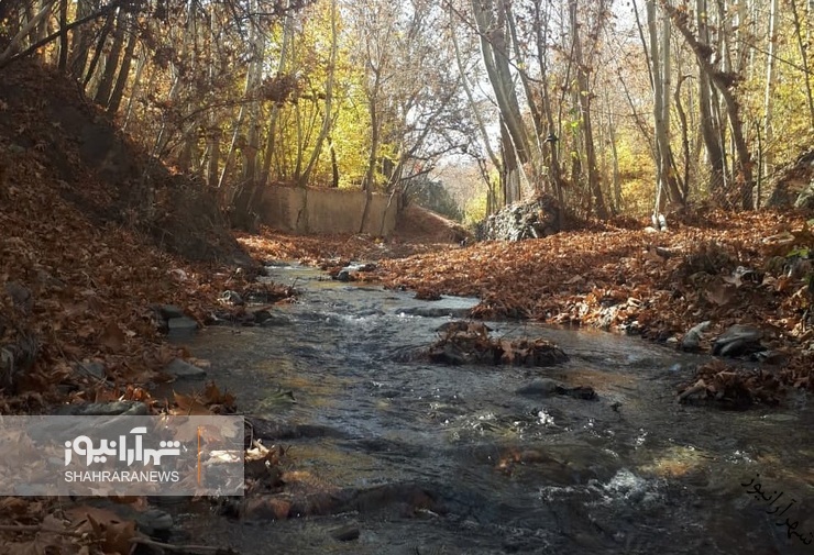 روستای مایان طرقبه مشهد که به مایون معروف است یکی از روستاهای خوش آب و هوای اطراف مشهد می باشد.