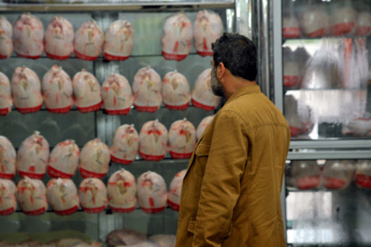 تولید جوجه‌های یک روزه به دلیل تاخیر در تحویل دان مرغ کم شد و تاثیر خود را در بازار مرغ نشان داده است. حالا قرار است برای تنظیم بازار، دولت مرغ و تخم‌مرغ وارد کند.