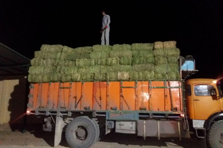 سردار حسن مفخمی شهرستانی فرمانده انتظامی استان مرکزی از کشف چمدان‌های قاچاق از بار یک دستگاه خودروی کامیون حامل علوفه در عملیات پلیس در یکی از محور‌های مواصلاتی شهرستان دلیجان خبر داد.