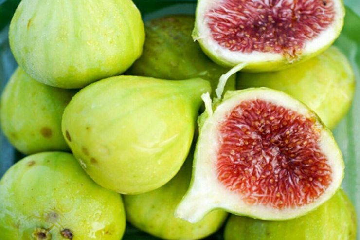 انجیر مملو از مواد مغذی بوده و انواع مختلفی از فواید سلامتی را به شما می‌دهد. آن‌ها ممکن است باعث هضم سالم، کاهش خطر ابتلا به بیماری‌های قلبی و کنترل سطح قند خون شوند.