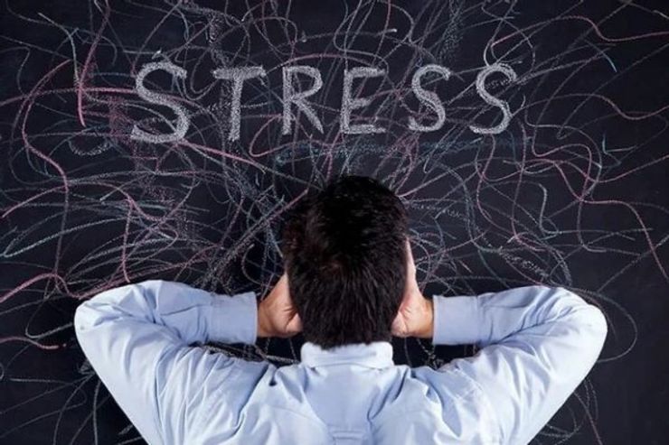 وقتی استرس دارید، این خوراکی‌ها را بخورید