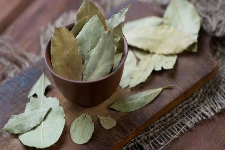 استفاده از برگ بو برای زیبایی پوست و پرپشتی مو‌ها فواید بسیار عالی به همراه دارد، البته که نحوه استفاده از برگ بو برای رسیدن به این مهم بسیار حائز اهمیت است.