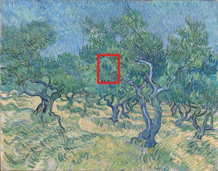 کارشناسان هنری در نقاشی «درختستان زیتون» (Olive Grove) ون‌گوگ، ردپای یک حشره کوچک را پیدا کردند که در کنار دیگر شواهد نشان می‌دهد این نقاشی در فضای آزاد کشیده شده است.