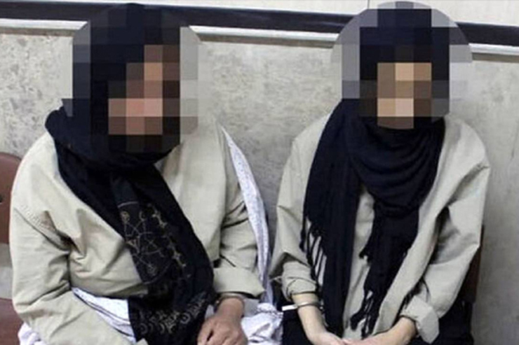 رئیس پلیس آگاهی استان خراسان شمالی از دستگیری دو عروس که اقدام به سرقت از منزل مادرشوهر خود کرده بودند، خبر داد.