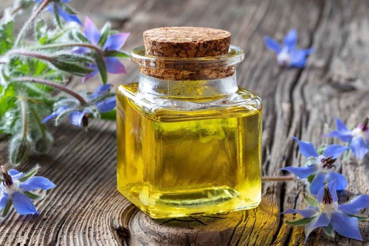 روغن گل گاوزبان به دلیل محتوای بالای اسید لینولئیک گاما (GLA) بسیار ارزشمند است. تصور می‌شود که این اسید چرب می‌تواند به کاهش التهاب مرتبط با بسیاری از بیماری‌ها کمک کند.