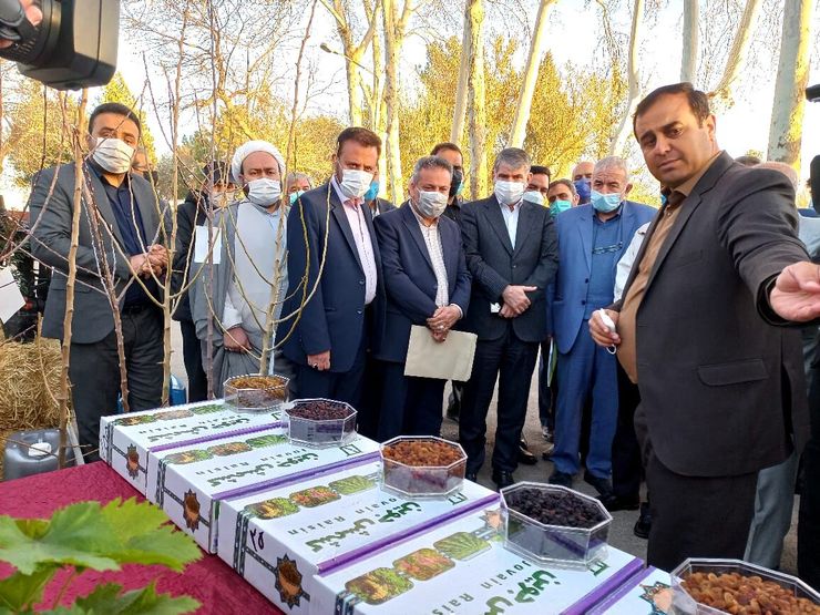 وزیر جهاد کشاورزی در بازدید از بخش‌های مختلف شرکت کشت و صنعت شهرستان جوین گفت: در راستای اجرای سیاست‌های خودکفایی در بخش کشاورزی، شرکت‌های دانش‌بنیان این حوزه مورد حمایت قرار می‌گیرند.