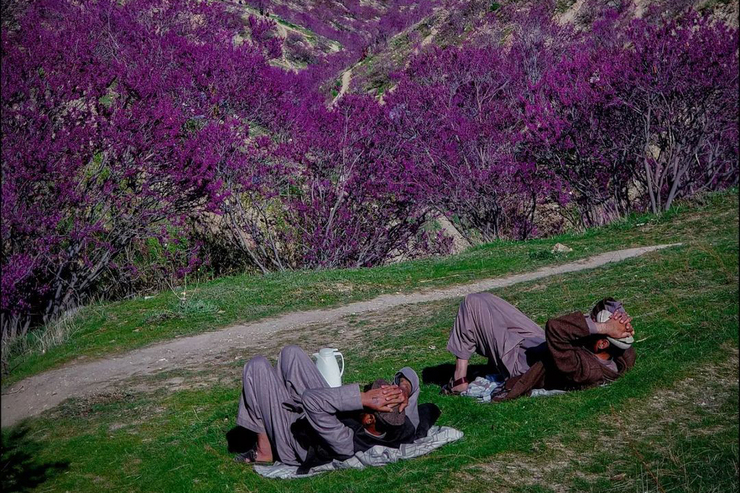 «تپه گُلغندی» که به «تپه ارغوانی» هم معروف است، همه ساله در فصل بهار میزبان هزاران گردشگر از نقاط مختلف افغانستان است.