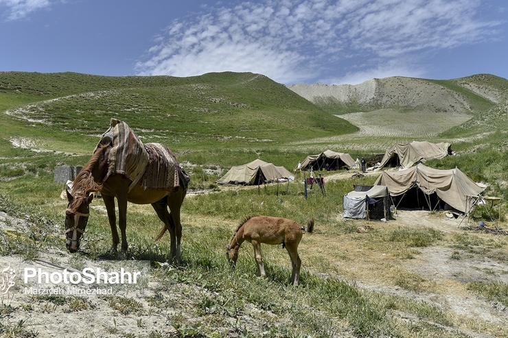 رییس سازمان امور عشایر ایران گفت: با اعتبارات اختصاص یافته در بودجه ۱۴۰۱ از محل هدفمندی یارانه ها، عشایر امسال به صورت رایگان بیمه می شوند.