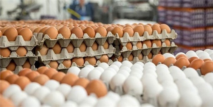 مدیر عامل سازمان ساماندهی مشاغل شهری و فراورده‌های کشاورزی شهرداری مشهد گفت: عرضه تخم مرغ با نرخ مصوب ستاد تنظیم بازار کالا‌های اساسی در بازار‌های میوه و تره بار شهرداری مشهد آغاز شده است.