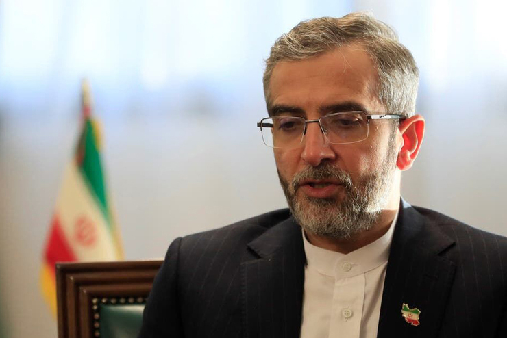 علی باقری کنی، معاون سیاسی وزارت امور خارجه امروز در آستانه روز ارتش، در جمع فرماندهان و مسئولان سازمان عقیدتی سیاسی ارتش جمهوری اسلامی ایران با تاکید بر اینکه سیاست خارجی و سیاست دفاعی هم‌افزا و مکمل یکدیگرند، تصریح کرد: ترفند دشمن در ایجاد شکاف میان سیاست خارجی و سیاست دفاعی را با مقاومت برگرفته از درایت و هوشمندی رهبری ناکام گذاشتیم.