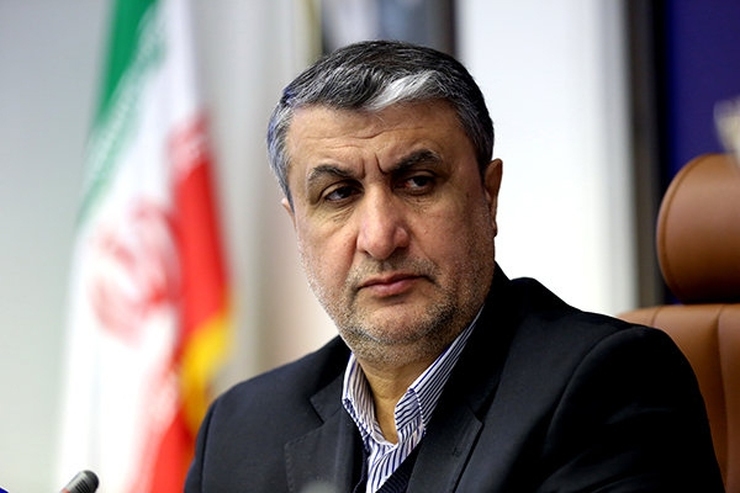 رئیس سازمان انرژی اتمی با اشاره به اینکه مباحث فنی در مذاکرات وین تمام و مشخص شده است، گفت: سایت‌ها و مراکز هسته‌ای آسیب دیده، سامان یافته اند و طبق قانون اقدام راهبردی، فعالیت‌های آنها به صورت کمی و کیفی در حال انجام است.
