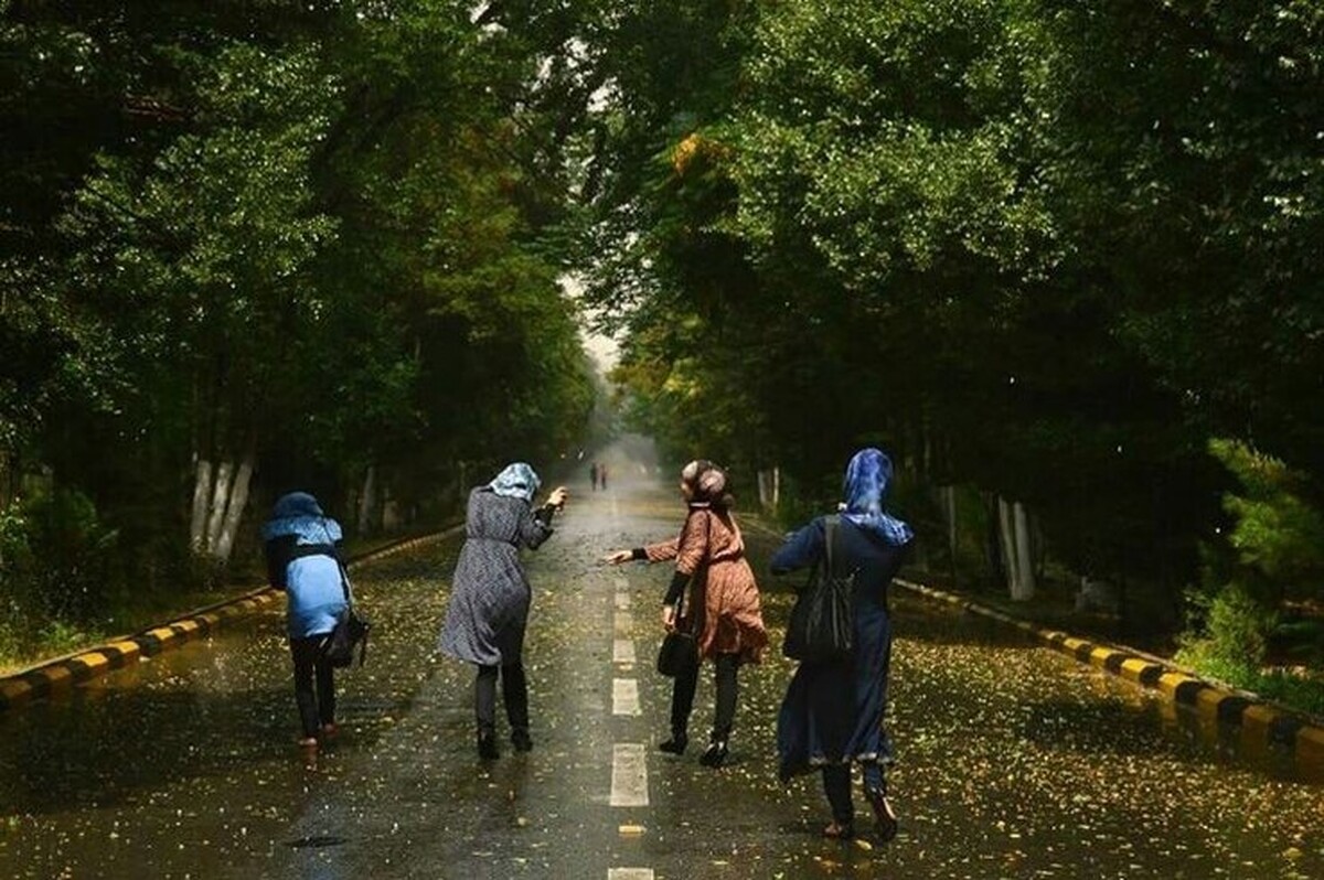 اساتید دانشگاه‌های افغانستان در اعتراض به اقدام طالبان در جلوگیری از آموزش دختران در دانشگاه‌ها، استعفا داده‌اند.