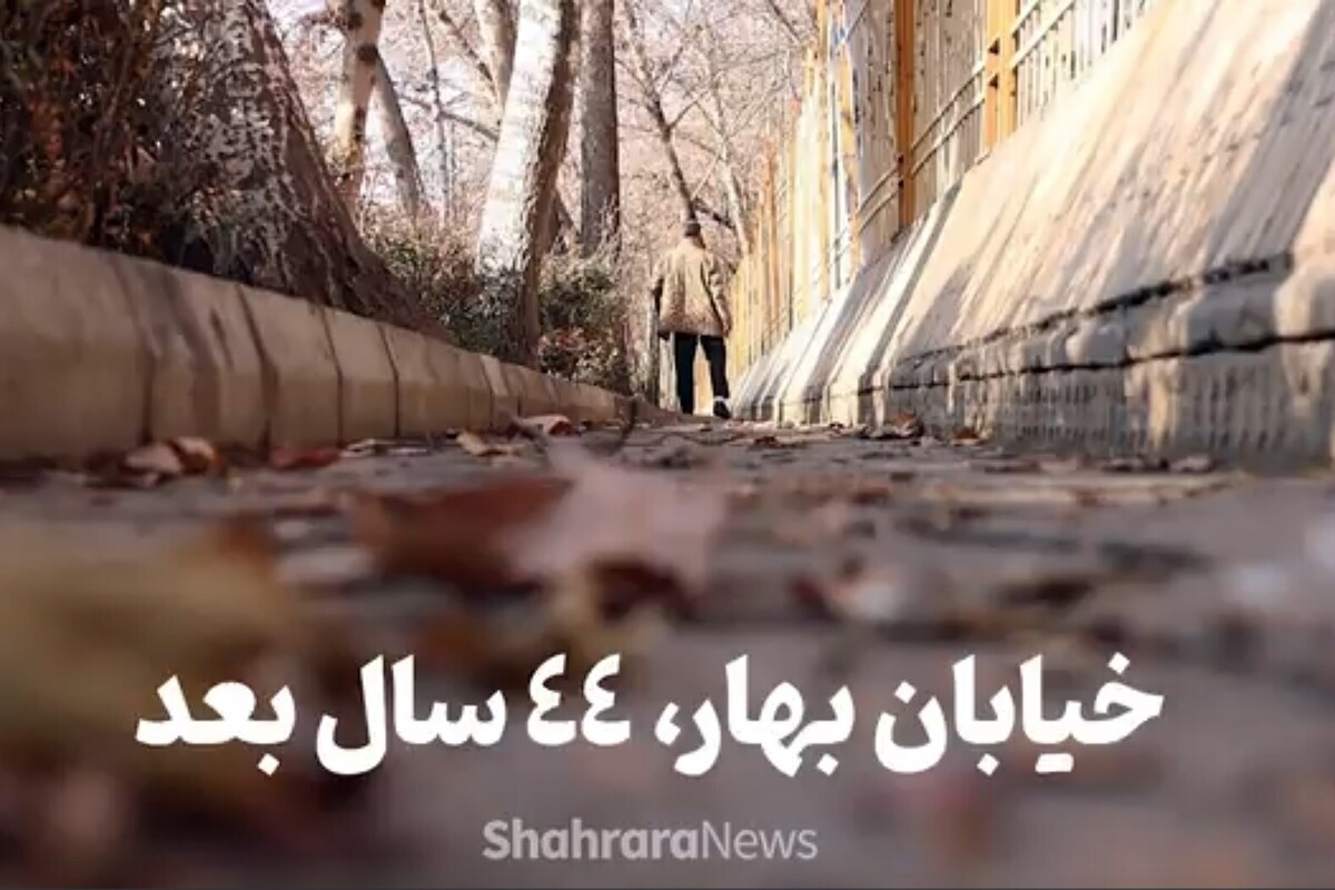 سابقه مبارزات انقلابی حسن موحدی شکیب، فقط محدود به حضور همراه با جانبازی‌اش در دوران دفاع مقدس نمی‌شود.