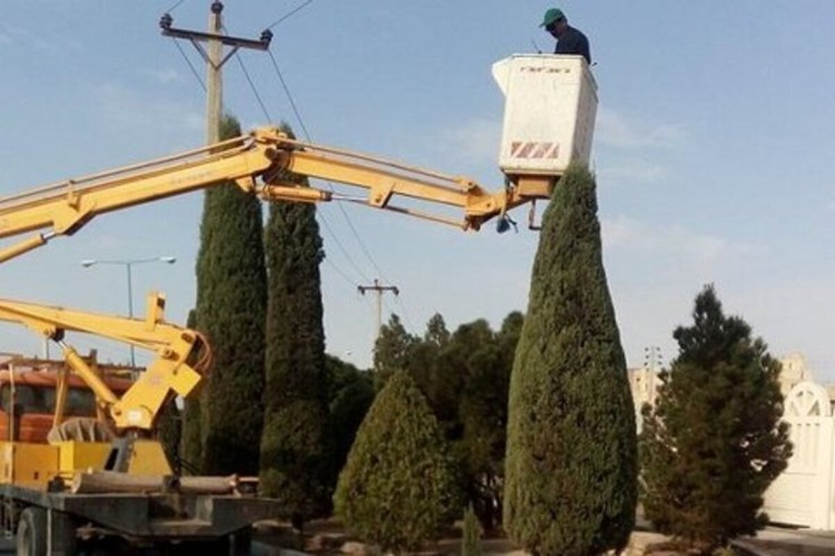 مدیرکل بهبود محیط زیست شهری شهرداری مشهد از هرس زمستانه بالغ بر ۲۰۰ هزار اصله درخت در سطح کلانشهر مشهد در زمستان سال جاری با هدف اصلاح تاج درختان و بهبود شرایط رشدی آن‌ها خبر داد.