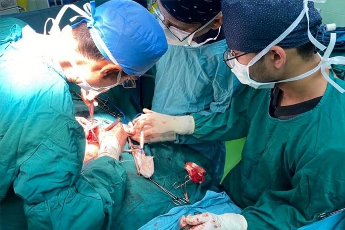 رئیس مرکز مدیریت پیوند و درمان بیماری‌های وزارت بهداشت، درمان وآموزش پزشکی گفت: با همکاری تیم‌های پیوند و واحدهای فراهم‌آوری دانشگاه‌های علوم پزشکی مشهد و ایران، فرد گیرنده و دهنده قلب شناسایی و با کمک سازمان اورژانس کشور و هوانیروز برای پیوند به تهران انتقال داده شد.