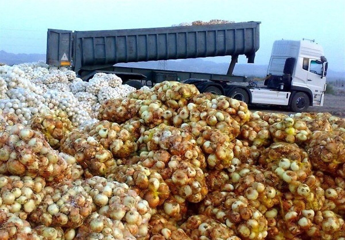 رئیس اتحادیه خرده‌فروشان میوه و تره‌بار مشهد از رسیدن پیاز از بنادر به مشهد خبر داد و گفت: اکنون پیاز‌های جدید رسیده است، ولی هنوز کیفیت پیاز خشک را ندارد.