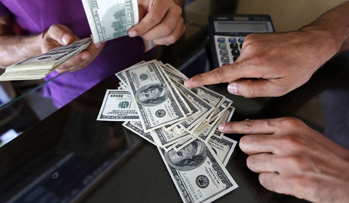 دولت تبادلات ارزی خود را در بازار رسمی انجام می‌دهد و قاعدتا از نوسانات بازار غیررسمی منتفع نمی‌شود و در عین حال دولت بزرگترین مصرف‌کننده ارز است و از گرانی آن متضرر می‌شود.