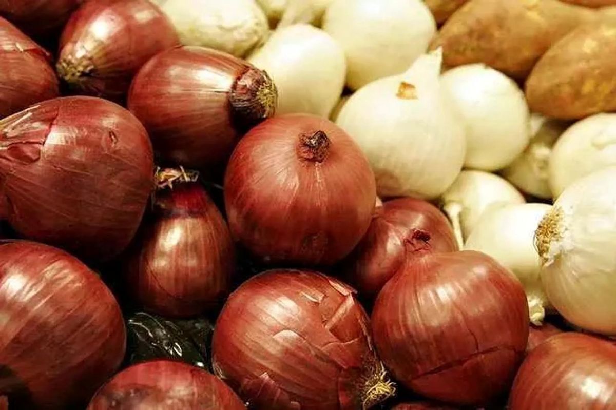 قیمت مصوب پیاز در میدان مرکزی میوه و تره بار تهران و به صورت عمده اعلام شد.