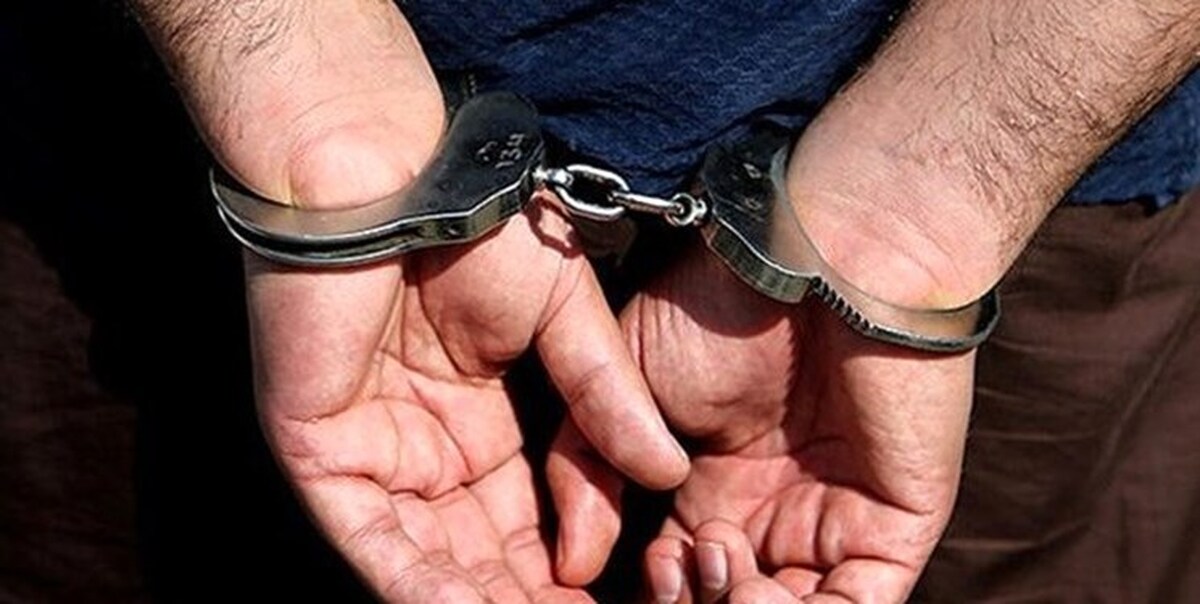 فرمانده انتظامی نیشابور خبر داد: ۱۲ نفر از عاملان نزاع و ناامنی خیابان شهید فهمیده در نیشابور شناسایی و به دام افتادند.