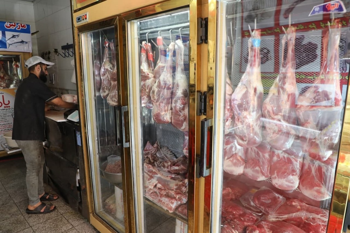 رییس اتحادیه گاوداران صنعتی خراسان رضوی با بیان اینکه گرانی گوشت و کاهش تولید اتفاق روشنی بود که از سال گذشته هشدار آن را داده بودیم، افزود: طی ماه‌ها و سال گذشته تحلیل کارشناسی بروز چنین وضعیتی را ارائه کرده بودیم، اما آنچه رخ داد ناشی از سردرگمی و بی توجهی به هشدار‌ها و عدم حمایت لازم از دامداران بود.