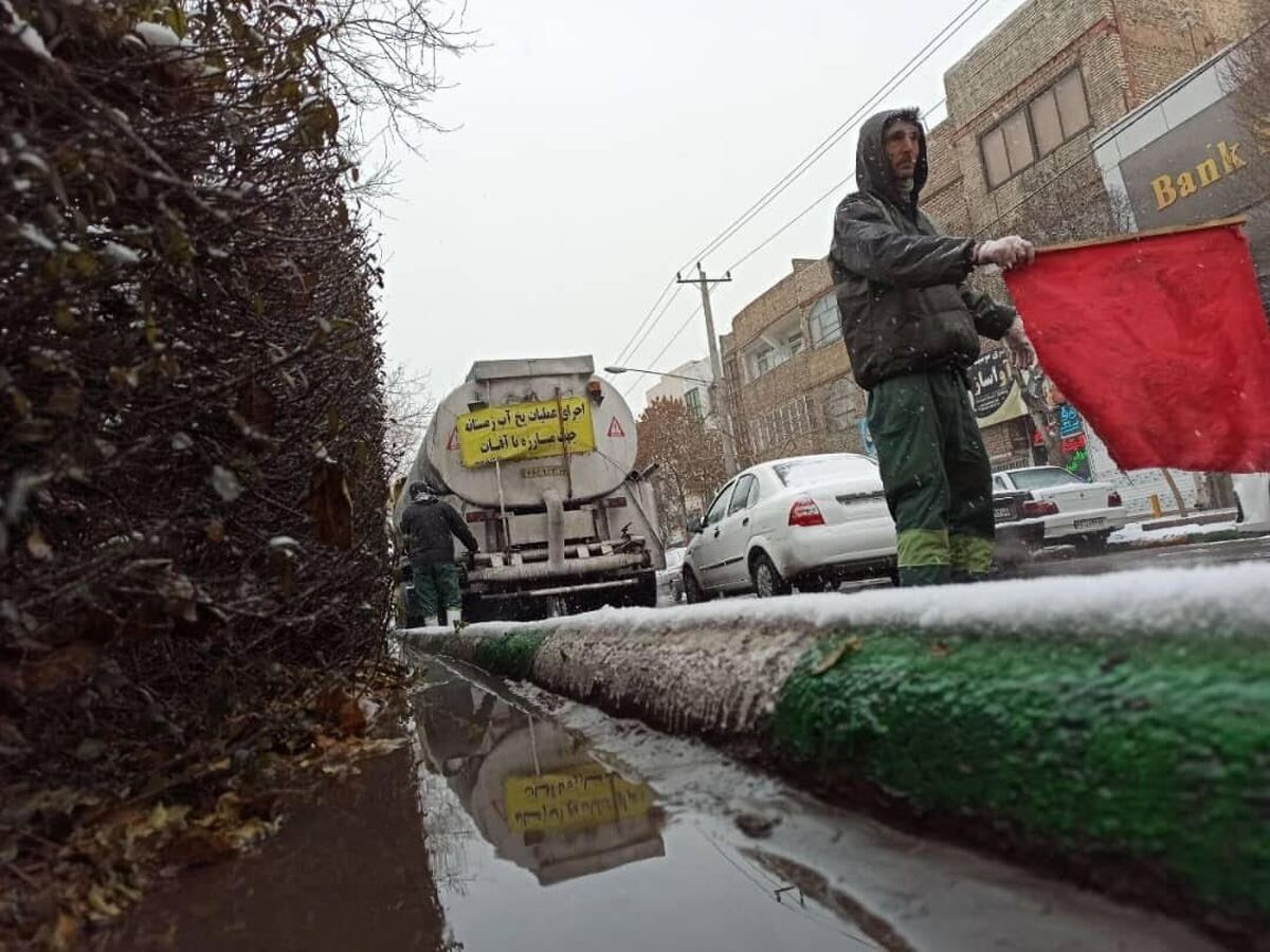 مدیرکل بهبود محیط زیست شهری شهرداری مشهد، از اجرای عملیات حفاظتی گونه های گیاهی و تاسیسات فضای سبز شهری خبر داد.