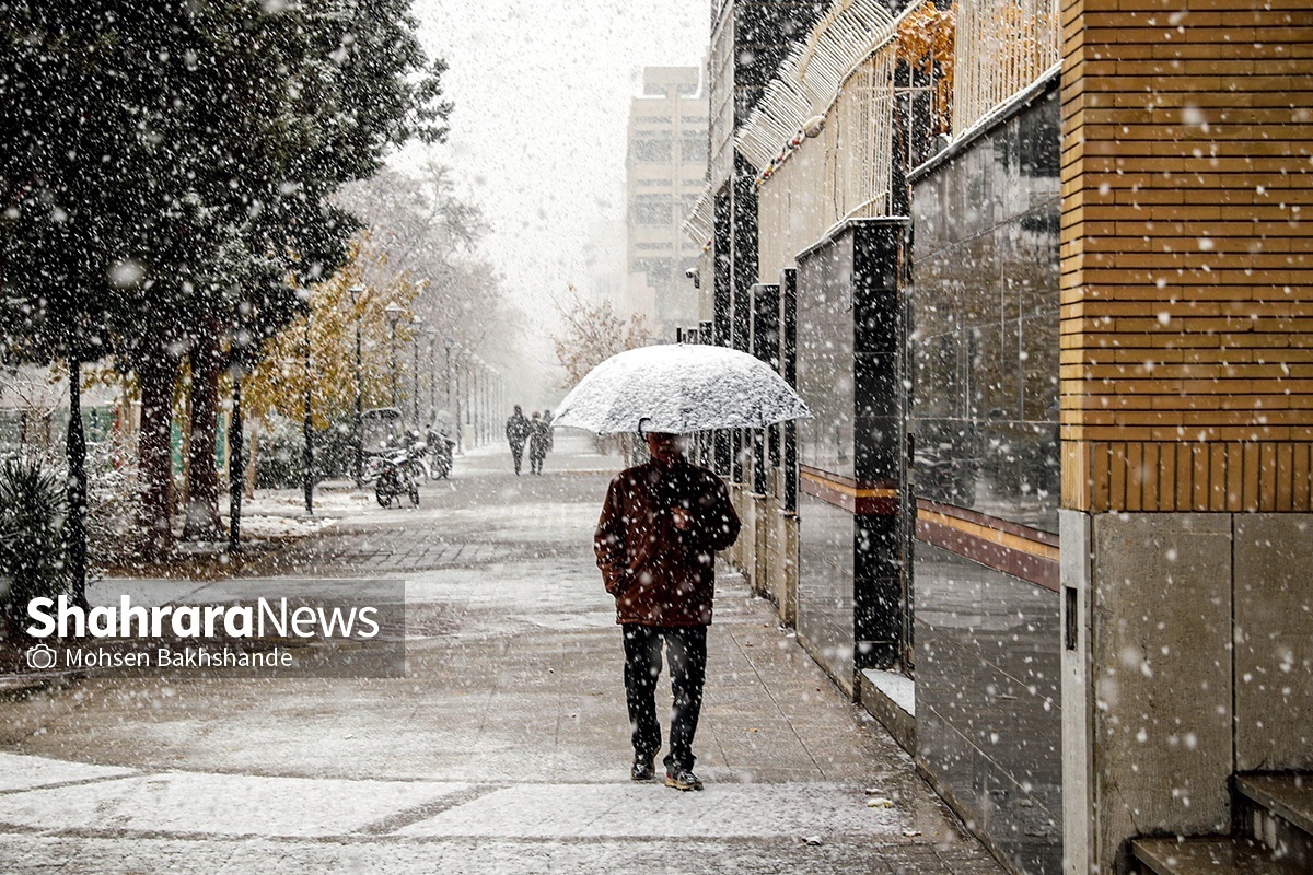 از دوران بچگی دمای زیر صفر همیشه با خاطرات خوب همراه بوده است. خاطره تعطیلی مدرسه، برف بازی، خنده و شادی‌های خانوادگی و لذت‌هایی که هیچوقت مشابهش را تجربه نکردیم. حالا، اما داستان فرق می‌کند و برف کنار تمام لذت هایش بعضا ذهنت را درگیر می‌کند. درگیر زندگی هم نوعت که در این دمای زیر صفردرجه، چطور نفس می‌کشد، چطور ارتزاق می‌کند و چطور زندگی می‌کند.