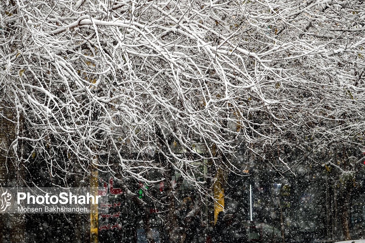 کارشناس مرکز پیش‌بینی هواشناسی خراسان رضوی با اشاره به تداوم بارش برف تا صبح پنجشنبه در خراسان رضوی، گفت: امروز دمای هوای این کلان‌شهر در سردترین ساعات به منفی ١۶ درجه و در گرم‌ترین ساعات به منفی ٨ درجه می‌رسد.